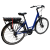 Bicicleta electrica Devron 28220 - 28 inch, M, Albastru Ultimate FactoryBikes