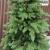 Brad artificial Sersimo, Sofie Elite, verde, integral 3D, 210 cm Household NewTrend