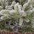 Brad artificial Sersimo, Lore d’Neige Elite, nins, mix 2D+3D, 200 cm Household NewTrend
