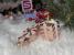 Set globuri si decoratiuni de Craciun, 77 piese, diverse dimensiuni, roz auriu Household NewTrend