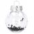 Set globuri de Craciun Inedit, 24 bucati, 5cm, transparente cu interior negru Household NewTrend