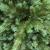 Brad artificial Sersimo, Scandinavia, verde cu varfuri argintii, integral 3D, 210 cm Household NewTrend