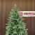 Brad artificial Sersimo, Scandinavia, verde cu varfuri argintii, integral 3D, 210 cm Household NewTrend