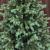 Brad artificial Sersimo, Scandinavia, verde cu varfuri argintii, integral 3D, 210 cm Household NewTrend