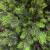 Brad artificial Sersimo, Hollandia, verde cu varfuri verzi, integral 3D, 210 cm Household NewTrend