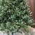 Brad artificial Sersimo, Hollandia, verde cu varfuri argintii, integral 3D, 230 cm Household NewTrend