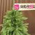 Brad artificial Sersimo, Alpine, verde, integral 3D, 210 cm Household NewTrend