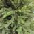 Brad artificial Sersimo, Alpine, verde, integral 3D, 210 cm Household NewTrend