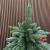 Brad artificial Sersimo, Miahelene Elite, verde nins cu merisoare, mix 2D+3D, 220 cm Household NewTrend