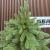 Brad artificial Sersimo, Sofie Elite, verde, integral 3D, 230 cm Household NewTrend