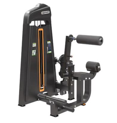 Aparat 2in1 abdomen/ lombari Sportmann B1113 FitLine Training