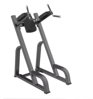 Multistatie triceps/abs Sportmann B1047 FitLine Training