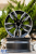 Jante auto  R19 BMW Performance AutoTuning