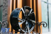 Jante auto  R19 Audi Performance AutoTuning