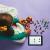 LEGO Minicasa din Encanto Quality Brand