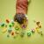 LEGO Gradina si flori creative Quality Brand
