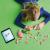 LEGO Animale salbatice: Flamingo roz Quality Brand