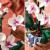 LEGO Orhidee﻿ Quality Brand