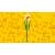 LEGO Narcise Quality Brand