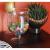 Bile decorative hidrogel, pentru udarea plantelor, multicolor, 5 g, Isotrade GartenVIP DiyLine