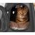 Geanta pentru transport caine/pisica, spuma EVA, gri, max 6 kg, 43x27x32 cm GartenVIP DiyLine