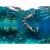 Masca snorkeling cu tub, Trizand, neagra, sistem antiaburire, suport camera, marime S/M GartenVIP DiyLine
