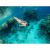 Masca snorkeling cu tub, Trizand, neagra, sistem antiaburire, suport camera, marime S/M GartenVIP DiyLine