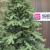 Brad artificial Christmas Deluxe by Sersimo, Viena Select, integral 3D, 300 cm Household NewTrend