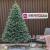Brad artificial Christmas Deluxe by Sersimo, Alaska Select verde argintiu, integral 3D, 250 cm Household NewTrend