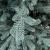 Brad artificial Christmas Deluxe by Sersimo, Viena Select argintiu, integral 3D, 250 cm Household NewTrend