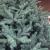 Brad artificial Christmas Deluxe by Sersimo, Viena Select argintiu, integral 3D, 250 cm Household NewTrend