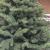 Brad artificial Christmas Deluxe by Sersimo, Kovalivka Select, integral 3D, 250 cm Household NewTrend