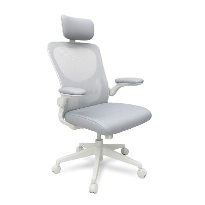 Leziter Scaun de birou ergonomic Flexo cu suport lombar Mobalis Homvera
