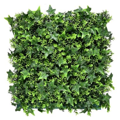 Mirpol Perete verde din plastic Rosa 50x50 cm Mobalis Homvera