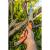 Ferastrau manual pentru Bushcraft 43 cm NEO TOOLS 63-120 HardWork ToolsRange