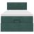 Pat otoman cu saltea și LED-uri, verde închis, 80x200cm catifea GartenMobel Dekor