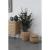 House Nordic Plantă artificială de eucalipt 120 cm Mobalis Homvera