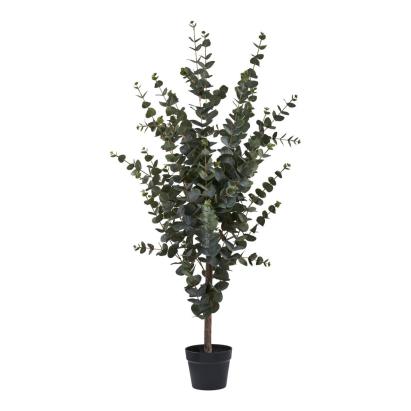 House Nordic Plantă artificială de eucalipt 120 cm Mobalis Homvera
