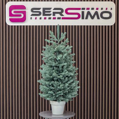 Brad artificial Christmas Deluxe by Sersimo, Viena Elite argintiu in ghiveci, 3D, 110 cm Household NewTrend