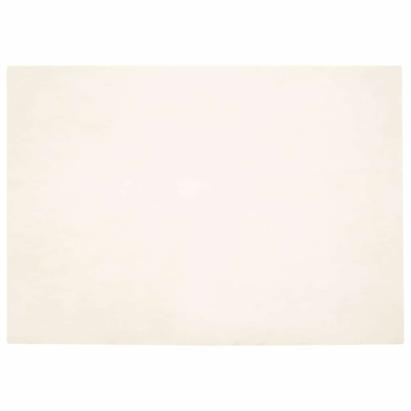 Covor din Blană Faux de Iepure Alb 140 x 200 cm Poliester GartenMobel Dekor