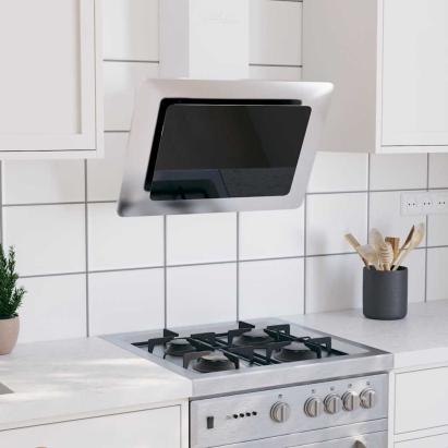 Hotă perete argintiu 60 cm oțel inoxidabil & sticlă securizată GartenMobel Dekor