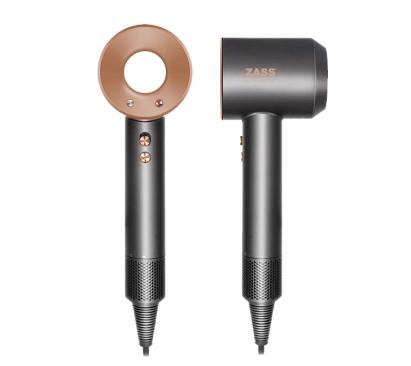 Uscator de par ZASS ZHD 21 ProDesign DailyAppliances