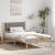 Cadru de pat Gri taupe 100 x 200 cm Lemn de pin masiv GartenMobel Dekor
