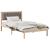 Cadru de pat Gri taupe 100 x 200 cm Lemn de pin masiv GartenMobel Dekor
