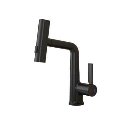 Leziter Baterie chiuvetă Mara cu cap multifuncțional, neagră Mobalis Homvera