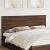 Tăblie cap cu headboard Stejar închis 200 cm Lemn compozit GartenMobel Dekor