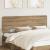 Tăblie cap cu headboard Stejar Artizanal 200 cm Lemn compozit GartenMobel Dekor