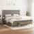 Pat box spring cu saltea, gri taupe, 200x200 cm, textil GartenMobel Dekor
