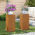 Suport pentru plante 2 pcs Ruginit 24 x 24 x 55 cm GartenMobel Dekor