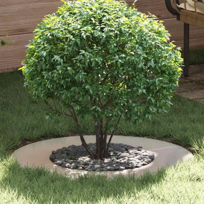 potrivit pentru inele de copac plat 5 pcs Argintiu Ø40 / 70 cm GartenMobel Dekor